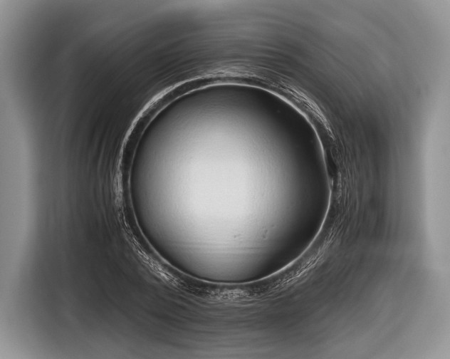 X0000116640784200912211002