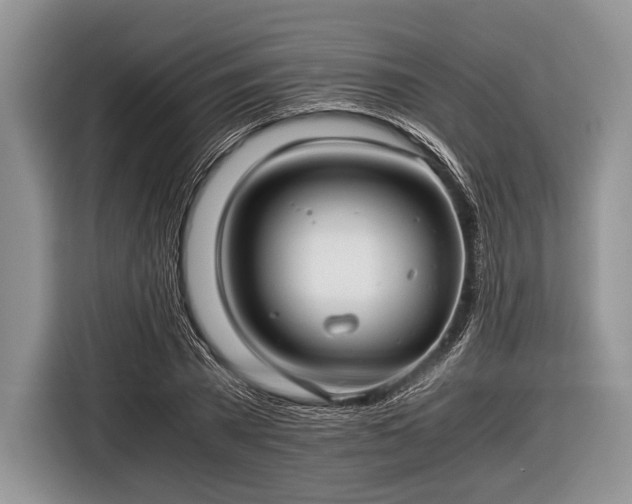 X0000116640785200912211002