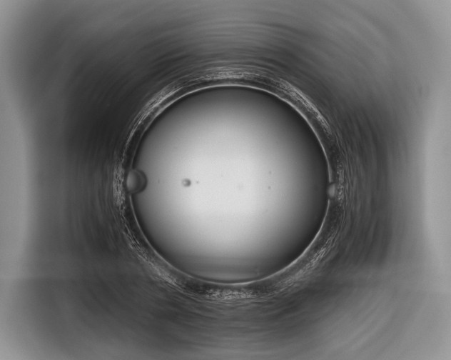 X0000116640786200912211002