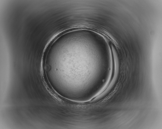 X0000116640788200912211001