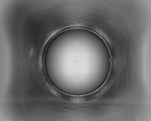 X0000116640789200912211001