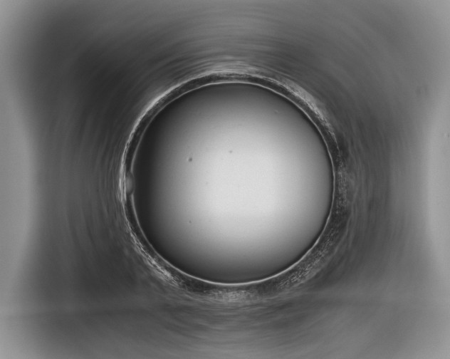 X0000116640791200912211001