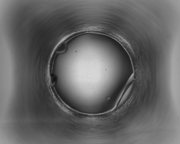 X0000116640792200912211001