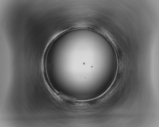 X0000116640795200912211001