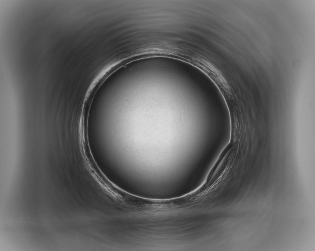 X0000116640796200912211001