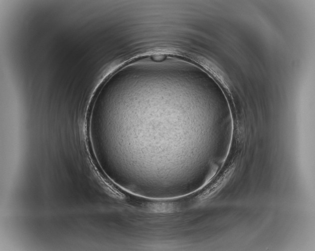 X0000116640797200912211001