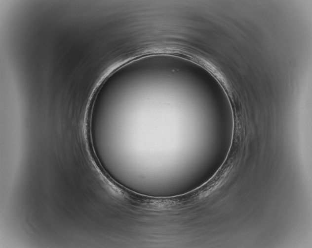 X0000116640803200912211001