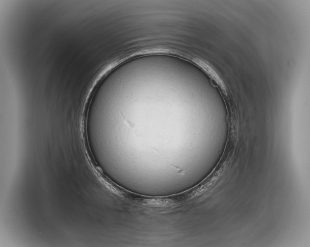 X0000116640805200912211001