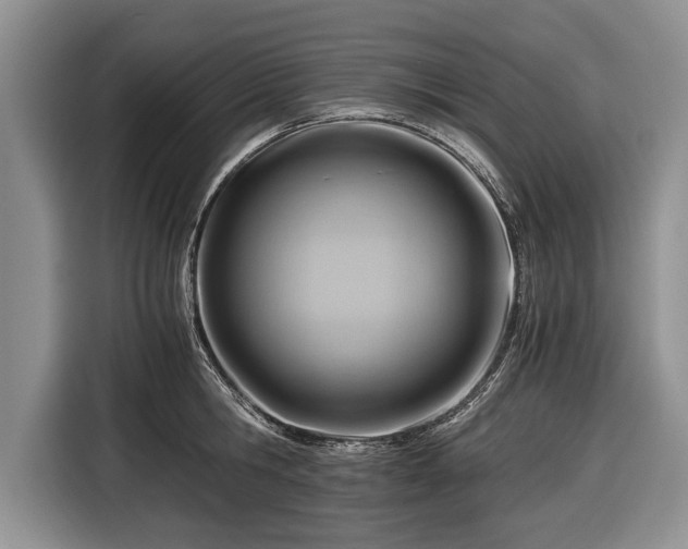 X0000116640806200912211001