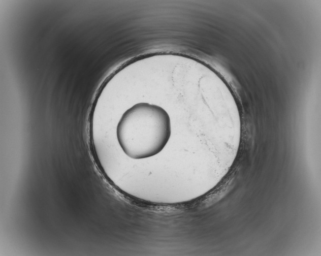 X0000116640807200912211001