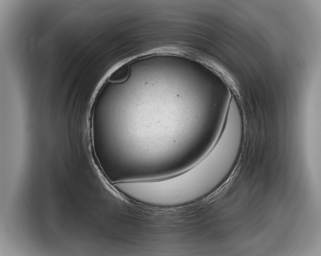 X0000116640808200912211001