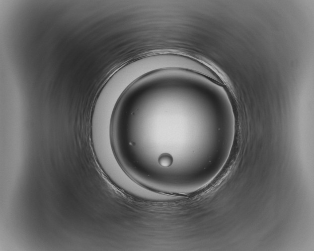 X0000116640809200912211001