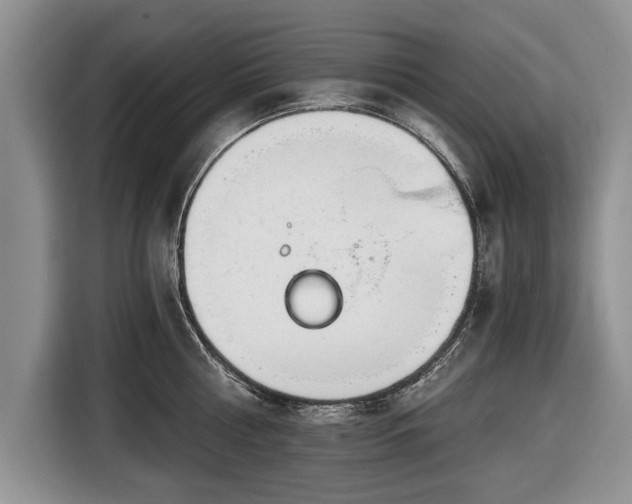 X0000116640810200912211001