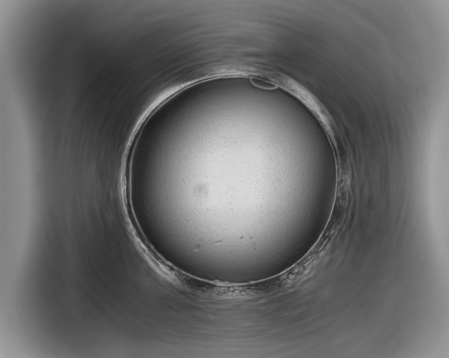 X0000116640811200912211001