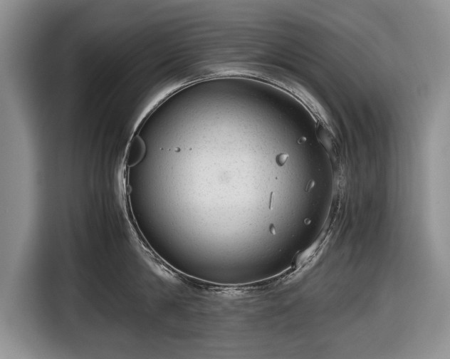 X0000116640814200912211001