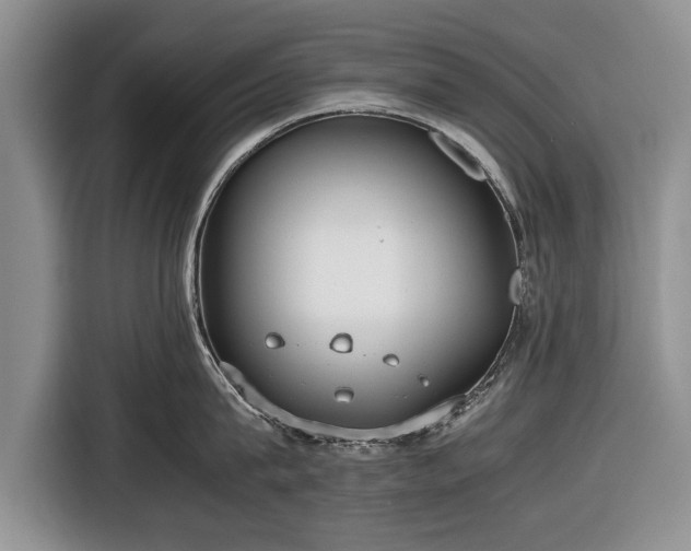 X0000116640815200912211001