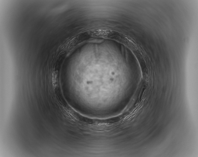 X0000116640818200912211000