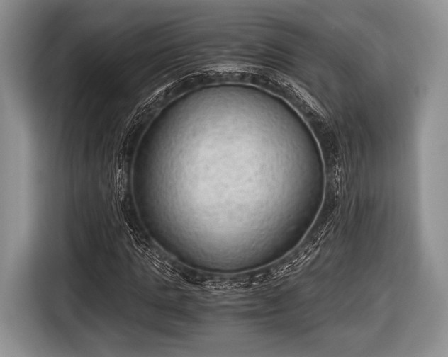 X0000116640821200912211000