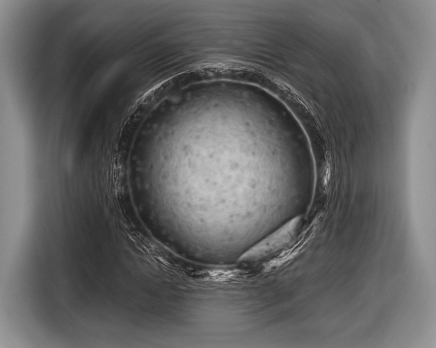 X0000116640822200912211000