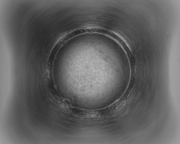 X0000116640823200912211000