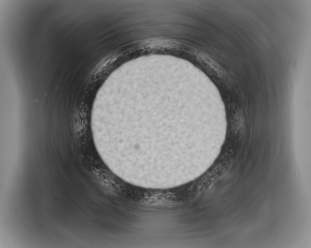 X0000116640824200912211000