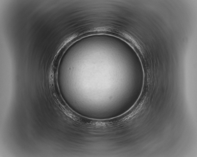 X0000116640827200912211000