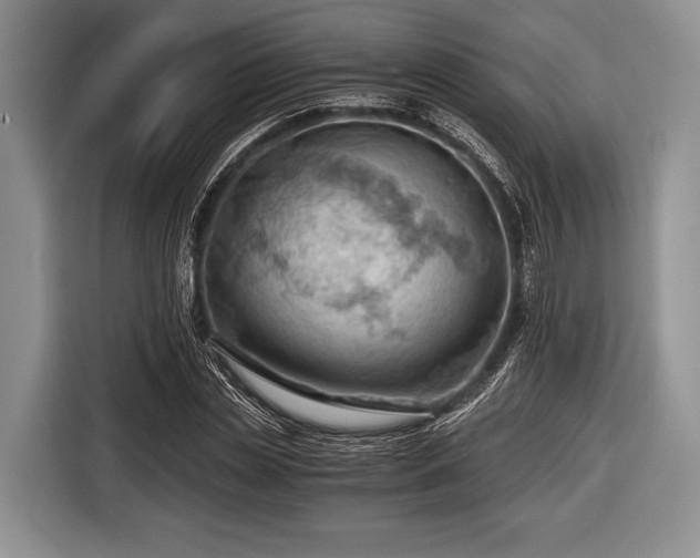 X0000116640829200912211000