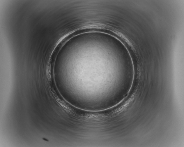 X0000116640830200912211000