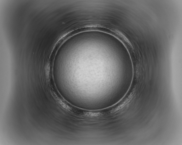 X0000116640831200912211000