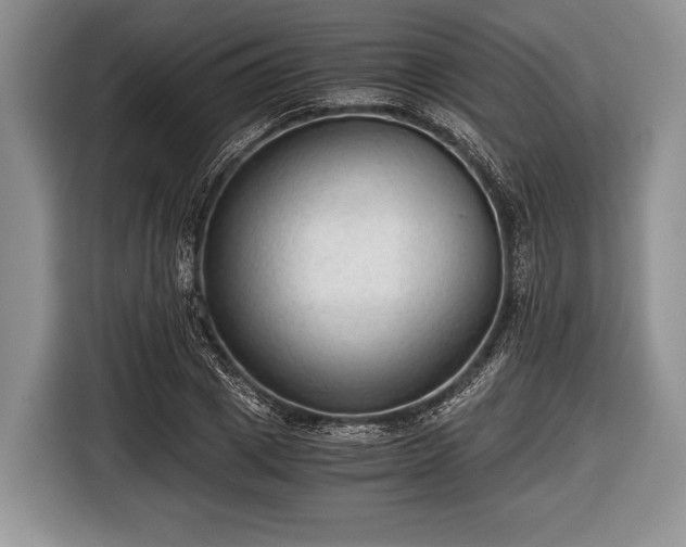 X0000116640833200912211000