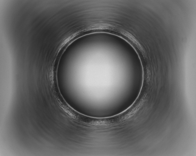 X0000116640834200912211001