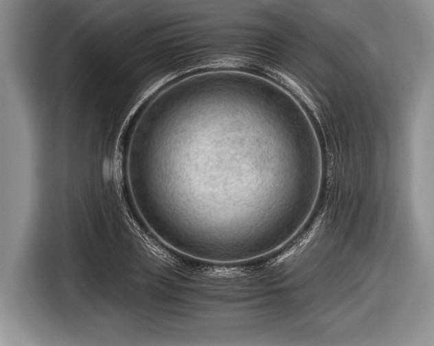 X0000116640835200912211001