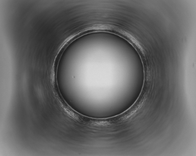 X0000116640837200912211001