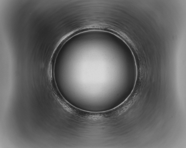 X0000116640838200912211001