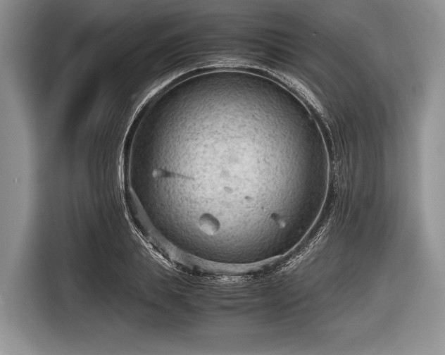 X0000116640839200912211001