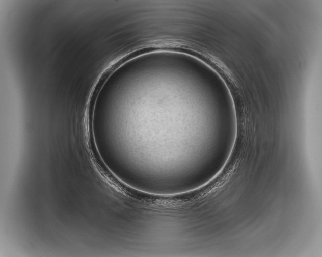 X0000116640840200912211001