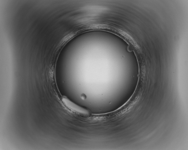 X0000116640841200912211001