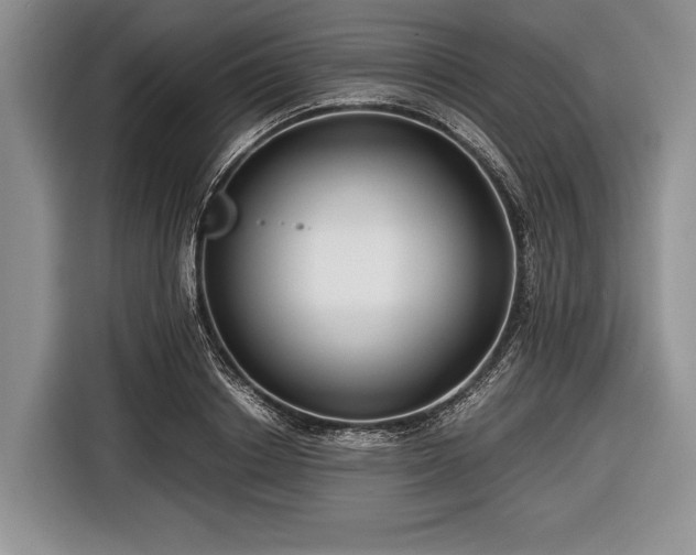 X0000116640842200912211001