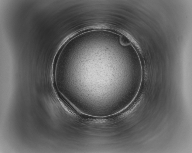 X0000116640845200912211001