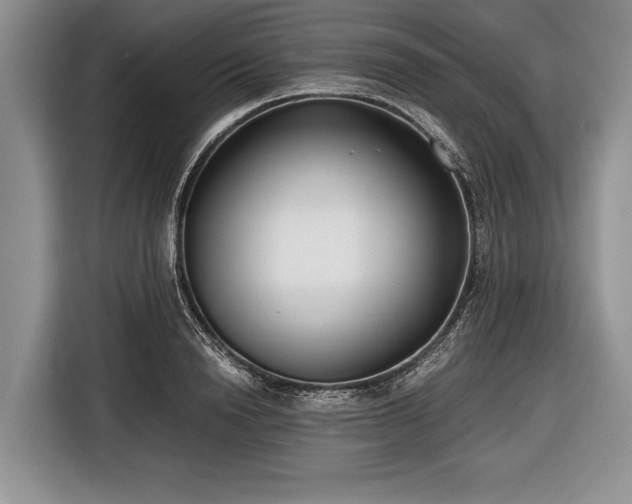 X0000116640846200912211001