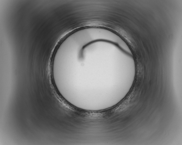 X0000116640848200912211001