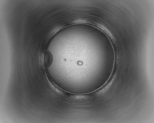 X0000116640849200912211001