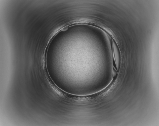 X0000116640850200912211001