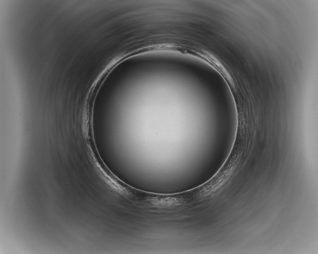 X0000116640851200912211001