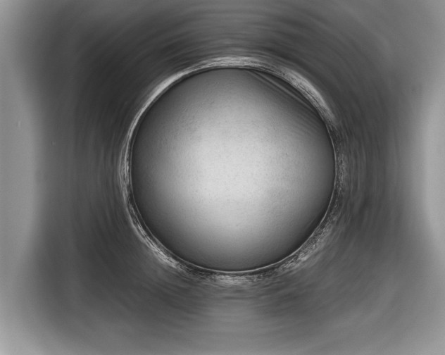 X0000116640852200912211001