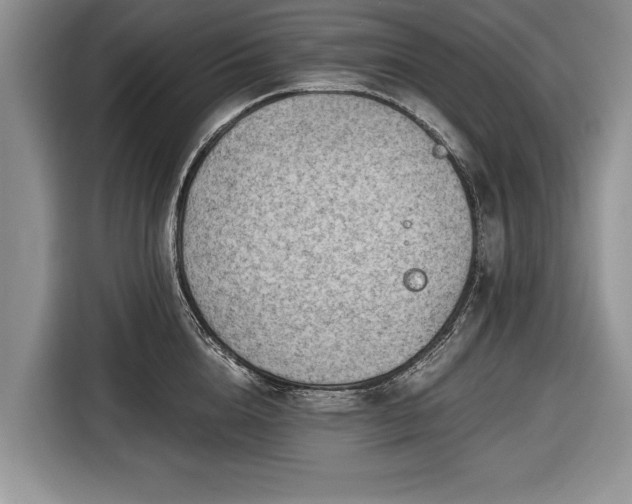 X0000116640856200912211001