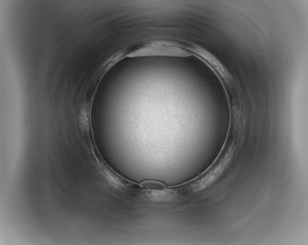 X0000116640857200912211001