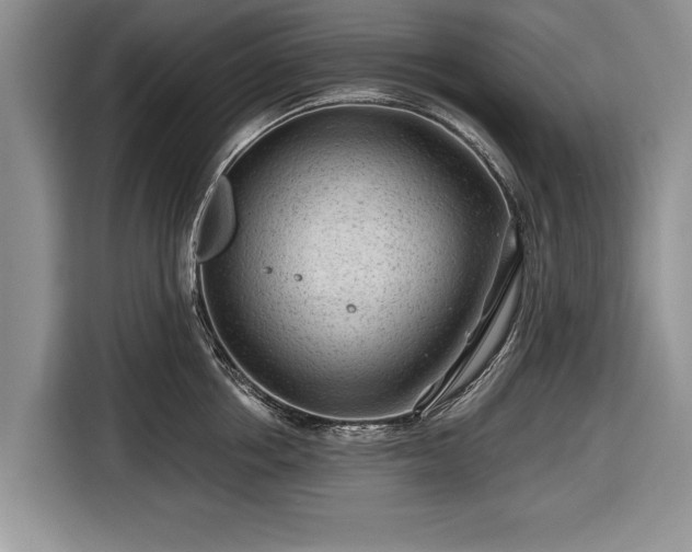 X0000116640858200912211001