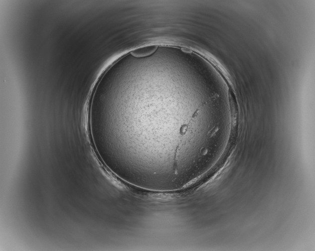 X0000116640862200912211001