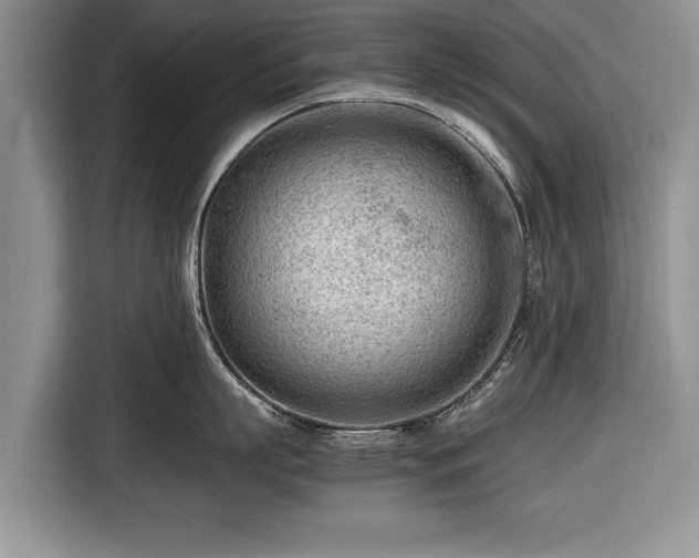 X0000116640863200912211001